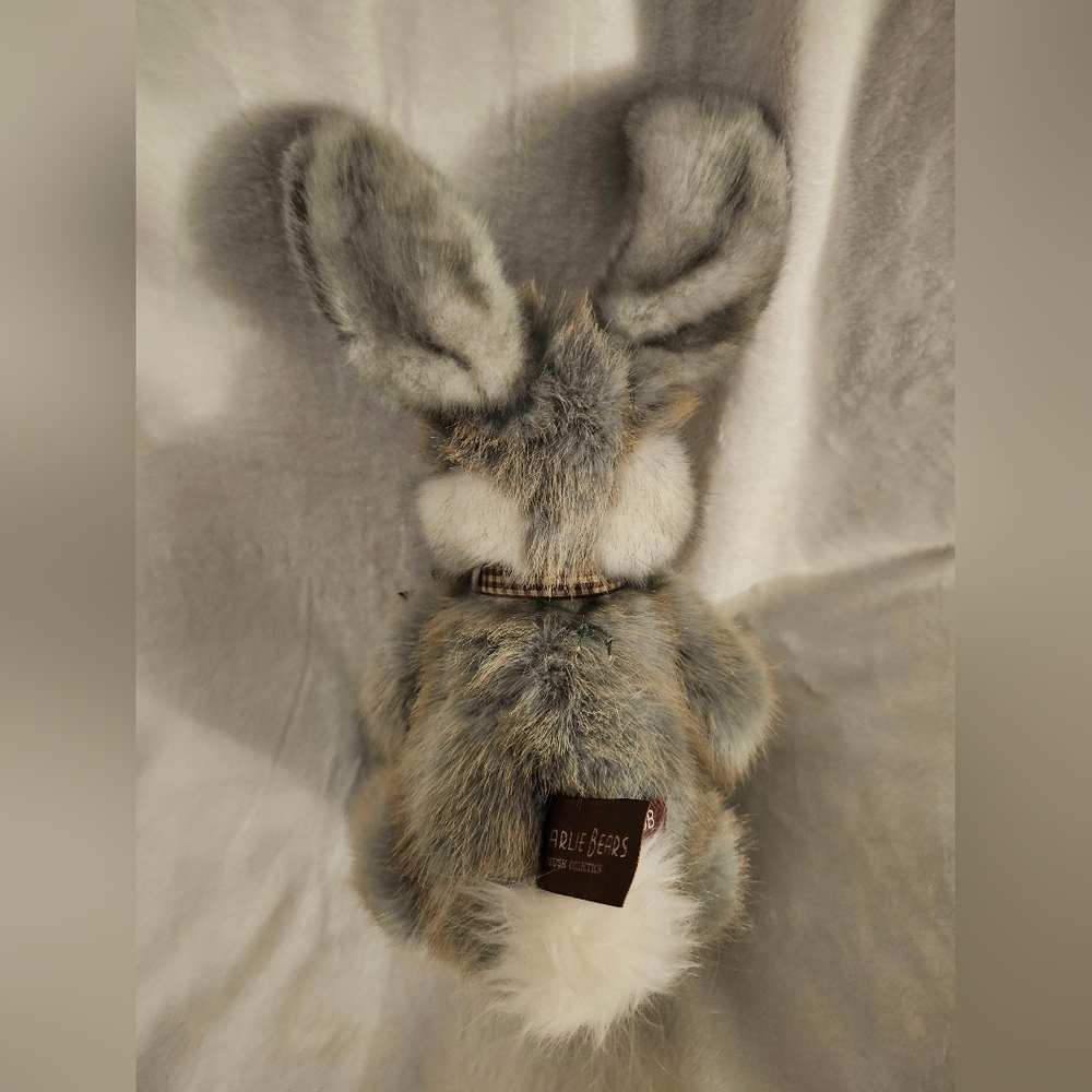 Charlie Bears Broccoli Rabbit Plush 🐰 - Picture 3 of 10